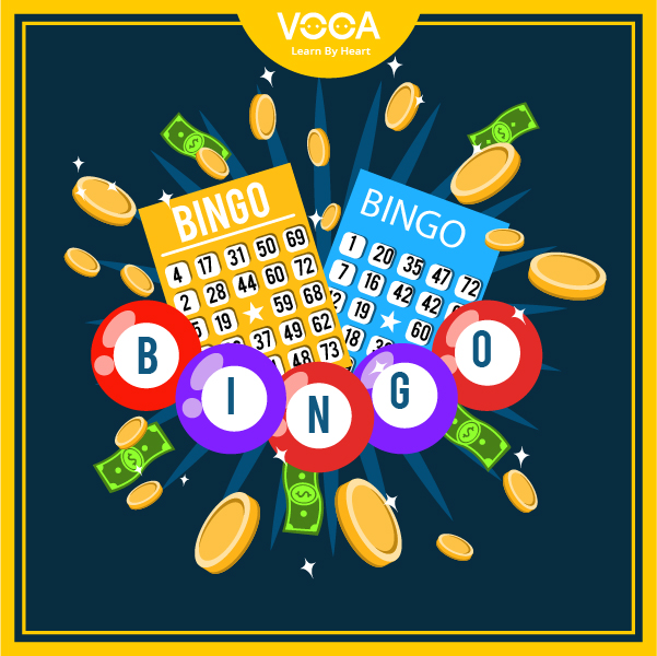 bingo bingo