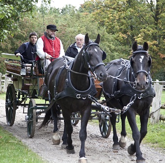 carriage carriage