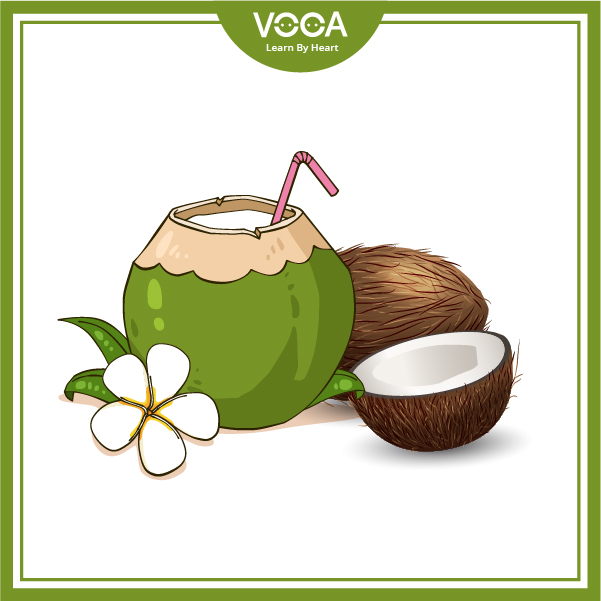 coconut