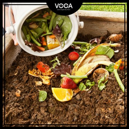compost compost