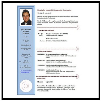 curriculum vitae