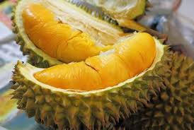 durian