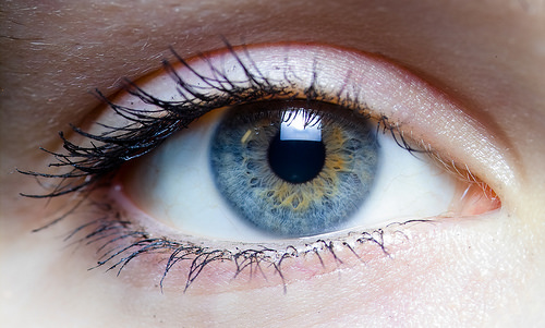 eye eye
