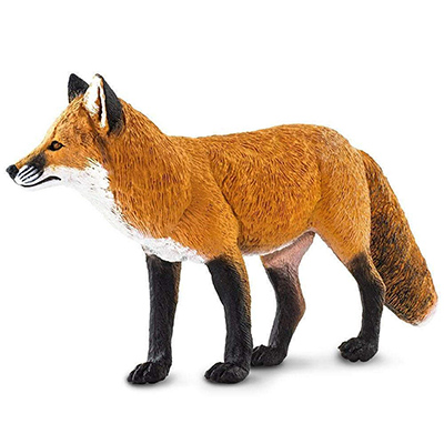 fox