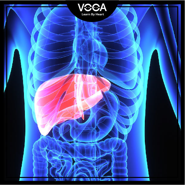 hepatitis hepatitis