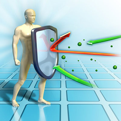 immune system immune system