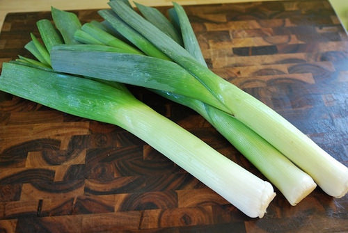 leek leek