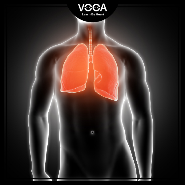 lung lung