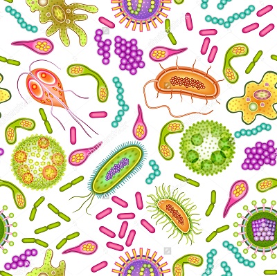 microorganism microorganism