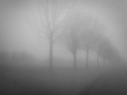 mist mist