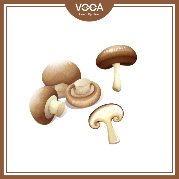 mushroom