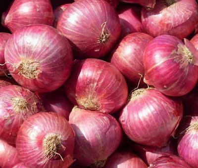 onion