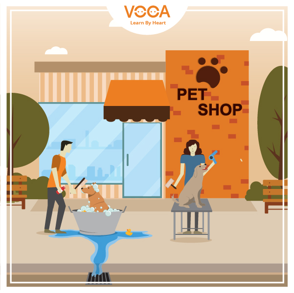 pet shop