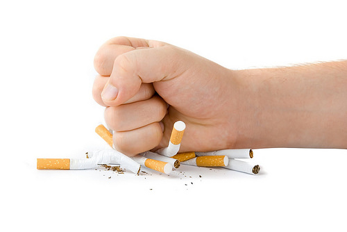 quit quit