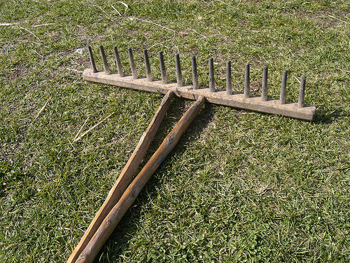 rake