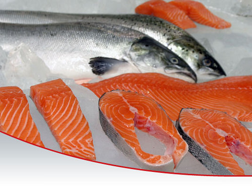 salmon salmon