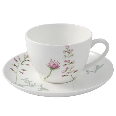 saucer saucer