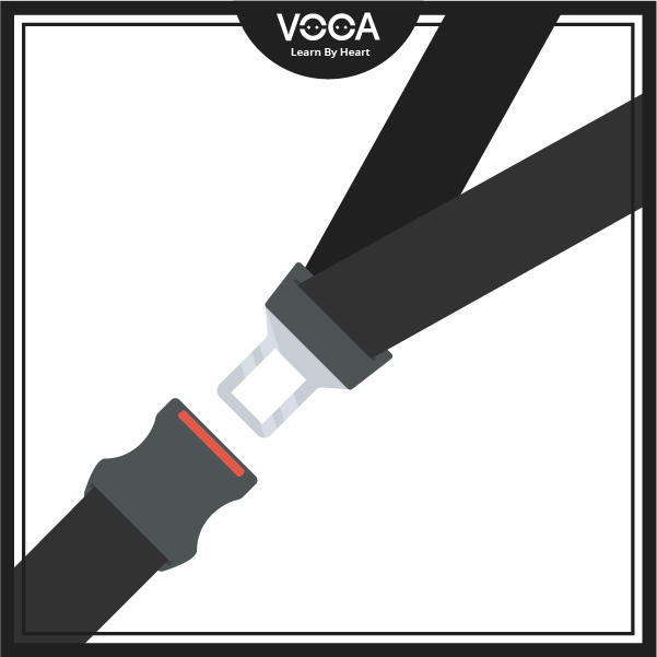 seat belt
