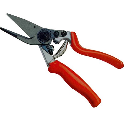 shears