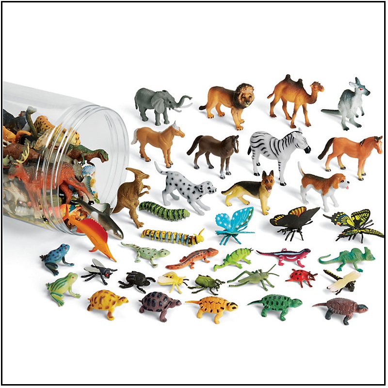 species