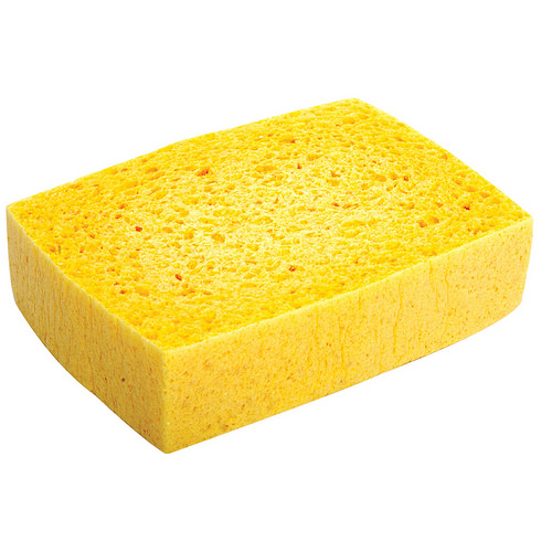 sponge