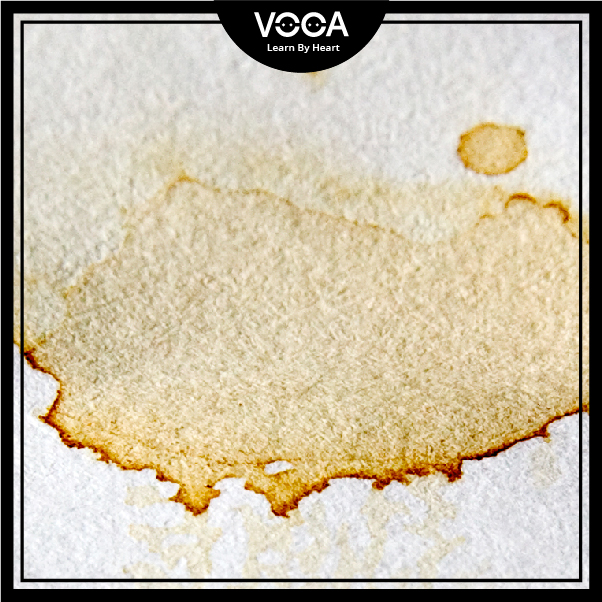 stain stain