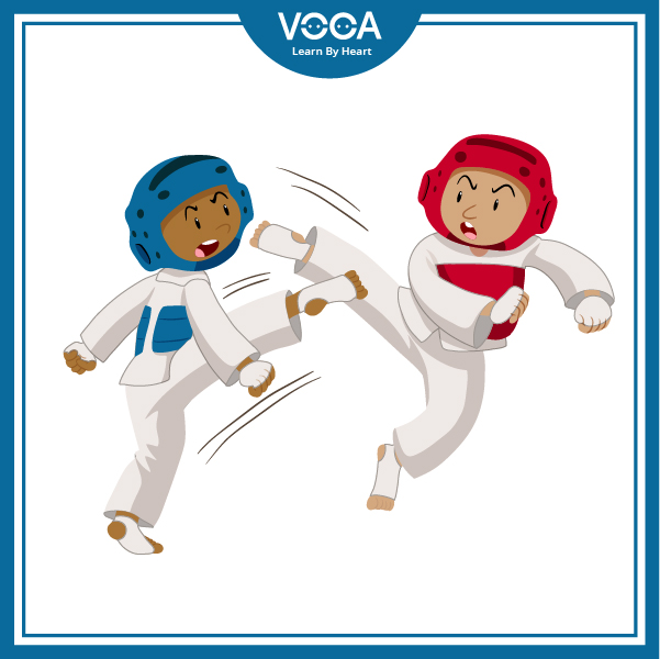 taekwondo taekwondo