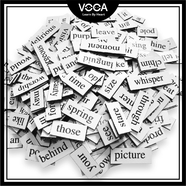 vocabulary