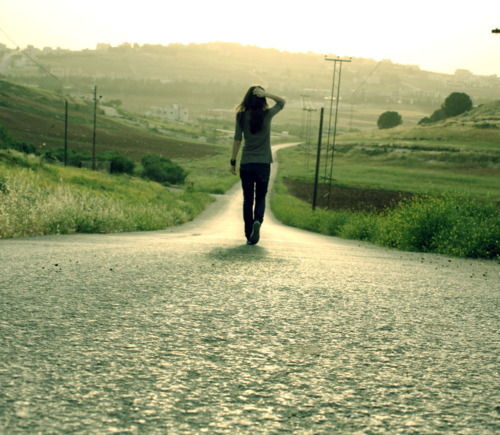 wander wander