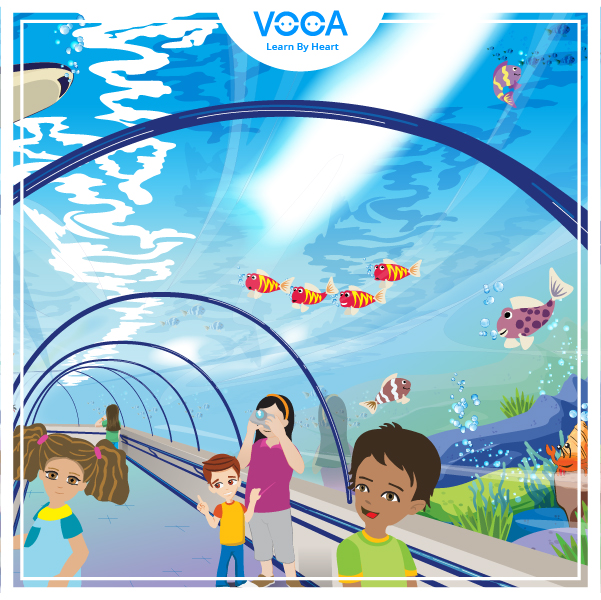 Tourist attractions 1