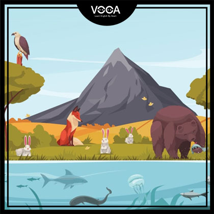 ENVIRONMENT ENVIRONMENT