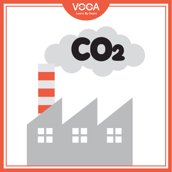 THE GREEN MOVEMENT (Skills 1) THE GREEN MOVEMENT (Skills 1)