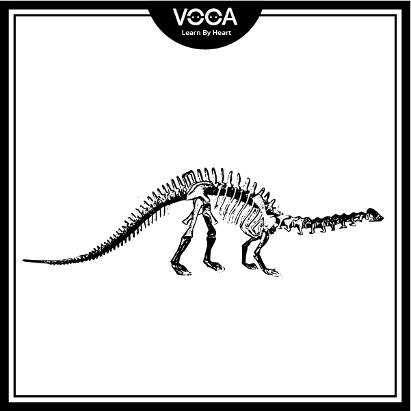 Wildlife conservation 1 Wildlife conservation 1