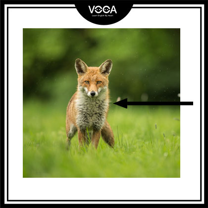 Landscape description