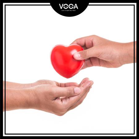 VERBS WITH G: GIVE & GROW VERBS WITH G: GIVE & GROW