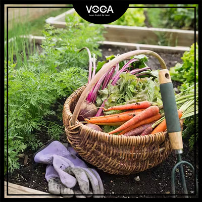 home-grown