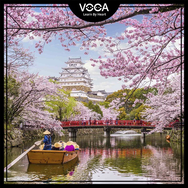 Countries, Nationalities 2