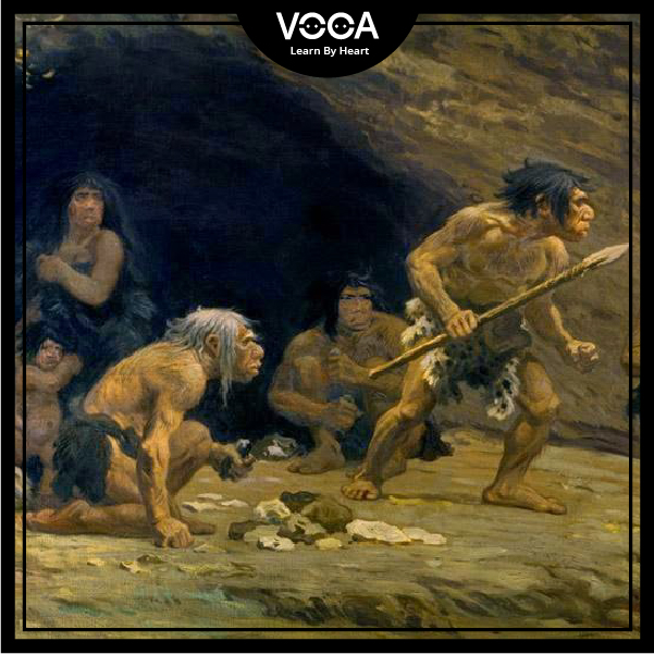 LOCAL ENVIRONMENT (Skills)