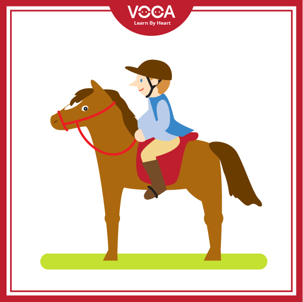 Activities and Interests