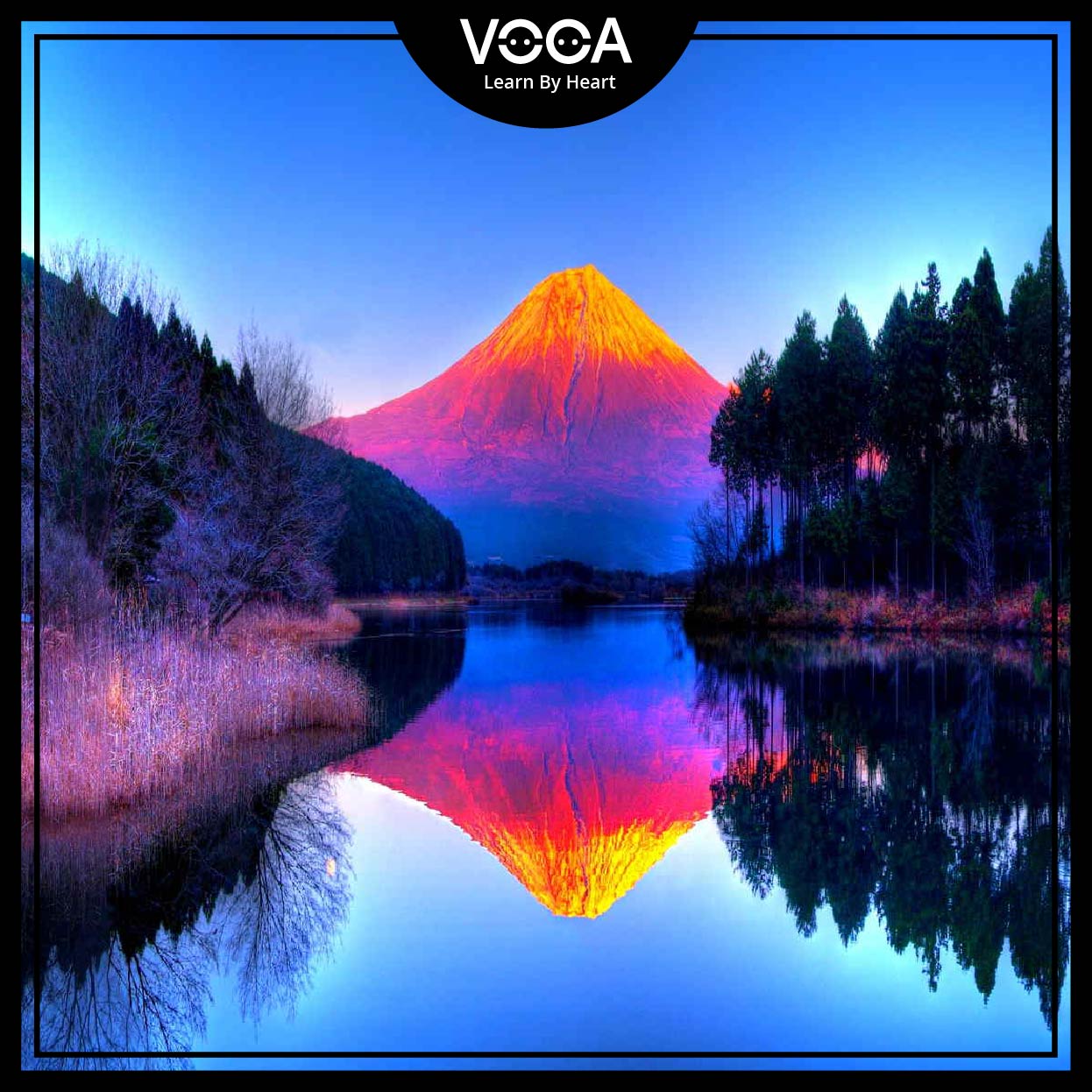 WONDERS OF VIETNAM (A closer look)