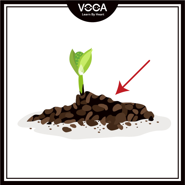 THE LIFESTYLE OF ETHNIC GROUPS