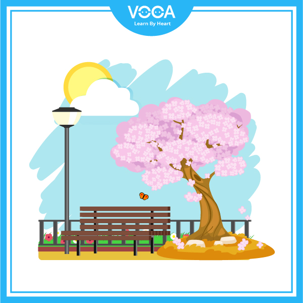 Time: Flyers 1 Time: Flyers 1