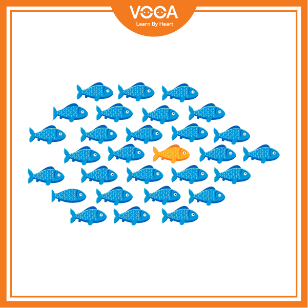 Buildings and archaeology