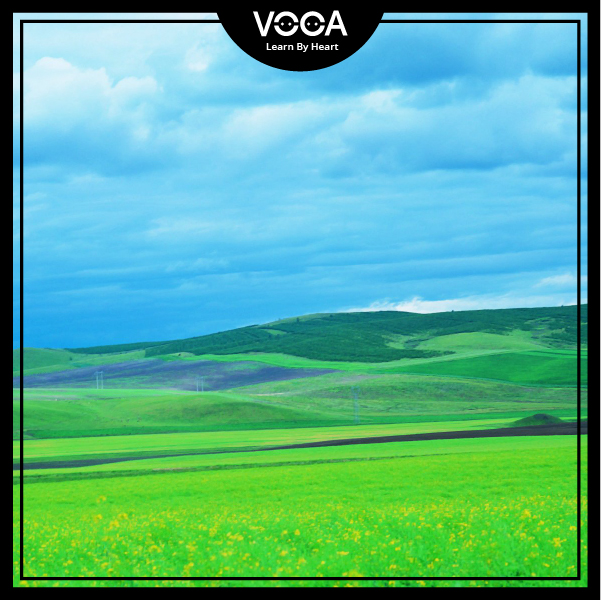 LIFE IN THE COUNTRYSIDE (A closer look) LIFE IN THE COUNTRYSIDE (A closer look)