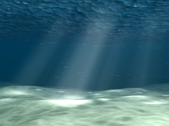 UNDERSEA WORLD - SPEAKING & LISTENING