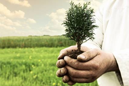 CONSERVATION - READING & WRITING 2