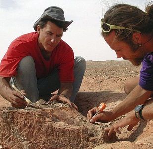 ARCHEOLOGICAL LITERATURE 2