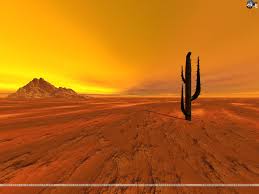 DESERTS - LANGUAGE FOCUS