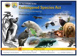 ENDANGERED SPECIES - SPEAKING