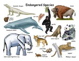 ENDANGERED SPECIES - READING 2